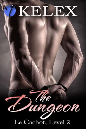 bigCover of the book The Dungeon (Le Cachot, Level Two) by 