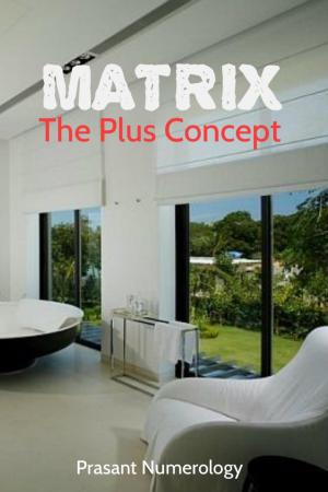 Cover of the book Matrix: The ‘Plus’ Concept by Satish Jaiswal