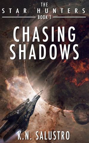Cover of the book Chasing Shadows by 水泉