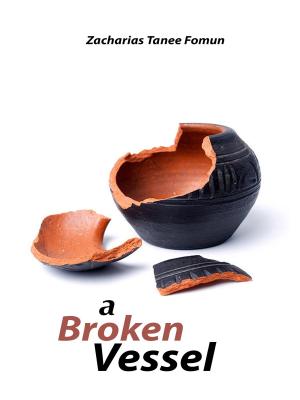 Cover of the book A Broken Vessel by George Calleja