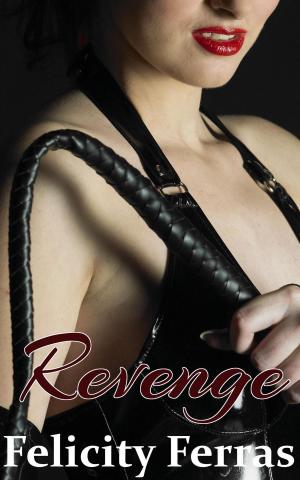 Cover of the book Revenge (A BDSM, Aggressive Femdom Story) by Hanna T. Corner