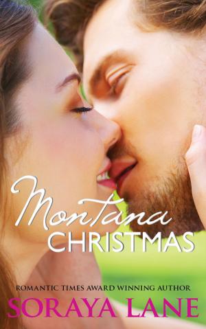 bigCover of the book Montana Christmas by 