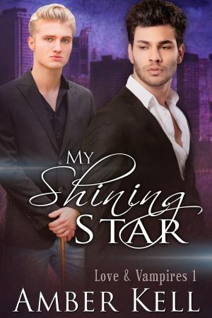 Cover of the book My Shining Star by Amber Kell