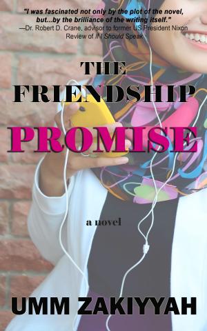 Cover of the book The Friendship Promise by Drew Gates