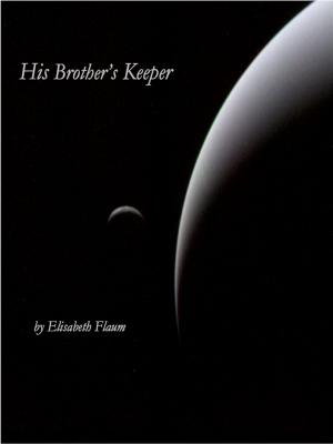 Book cover of His Brother's Keeper