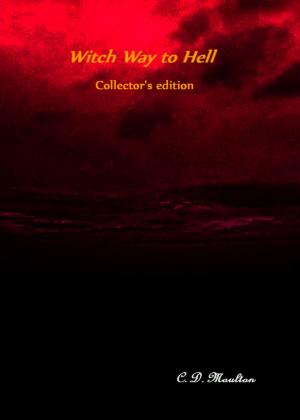 Cover of the book Witch Way to Hell Collector's Edition by S. Hunter Nisbet