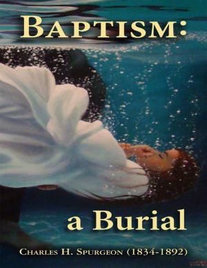 Cover of the book Baptism a Burial by Vince Stead