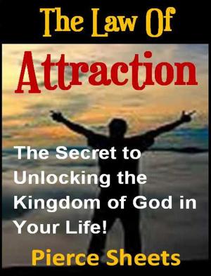 Cover of the book The Law of Attraction by John Brian Passler