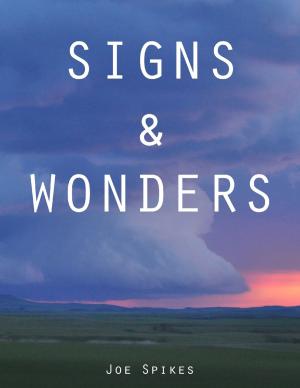 Cover of the book Signs & Wonders by Tom Roth