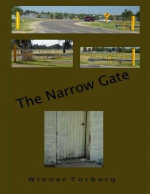 Cover of the book The Narrow Gate by Clifford Bishop ACS