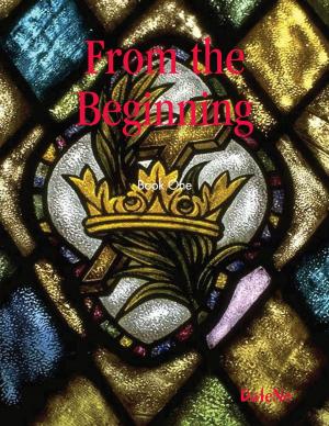 Cover of the book From the Beginning by Elizabeth Yenni