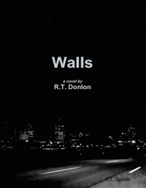 Cover of the book Walls by Daniela Bradutanu