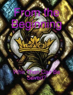 Cover of the book From the Beginning: Who Then Can Be Saved? by Stormy Meldrum
