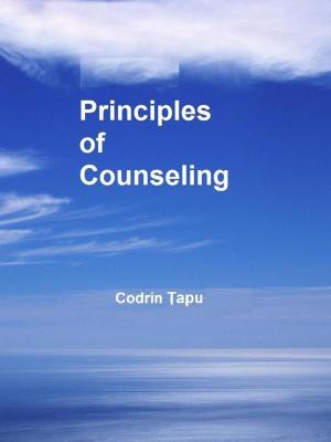 Book cover of Principles of Counseling