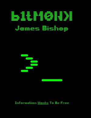 Cover of the book Bitmonk by SG Nichols