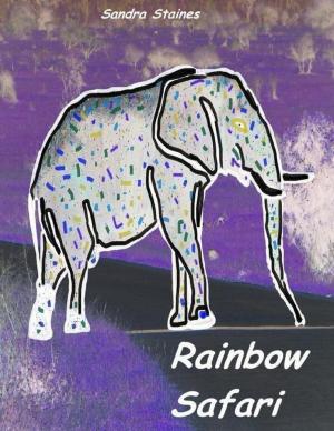 Cover of the book Rainbow Safari by RoViSa/ D. Kelly Yannucci