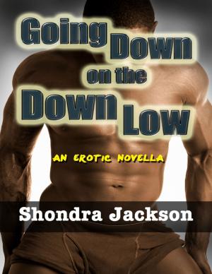 Book cover of Going Down On the Down Low