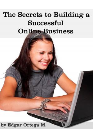bigCover of the book The Secrets to Building a Successful Online Business by 