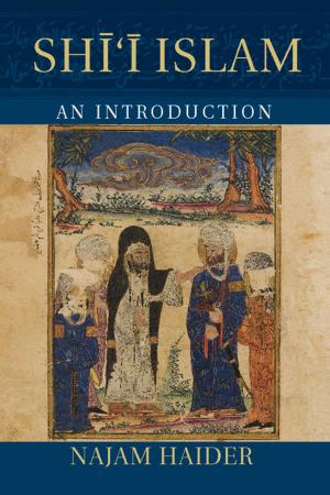 Cover of the book Shi'i Islam by Sarah Stockwell