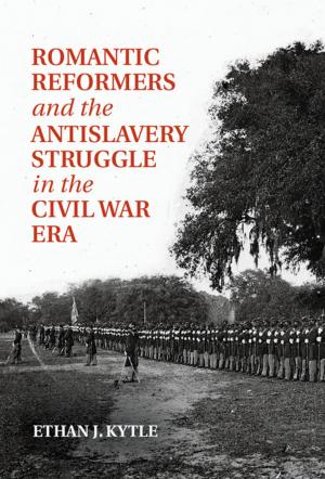Cover of the book Romantic Reformers and the Antislavery Struggle in the Civil War Era by David Scott Wilson-Okamura
