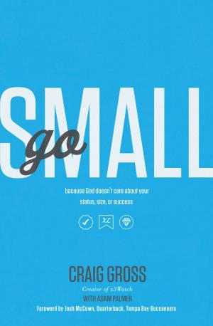 Book cover of Go Small
