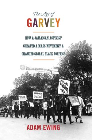 Cover of the book The Age of Garvey by David Bateman, Ira Katznelson, John S. Lapinski