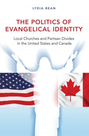 Cover of the book The Politics of Evangelical Identity by Michael P. Winship