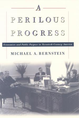 Cover of the book A Perilous Progress by Darrell Lester