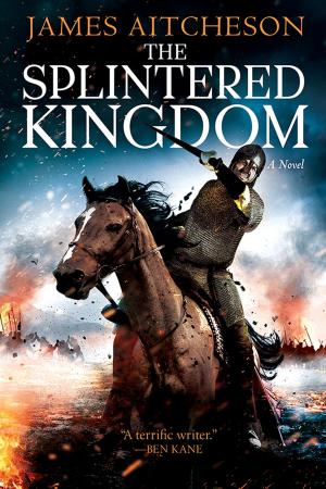 Cover of the book The Splintered Kingdom by Steven F Havill