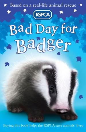 Cover of the book RSPCA: Bad Day for Badger by Kjartan Poskitt