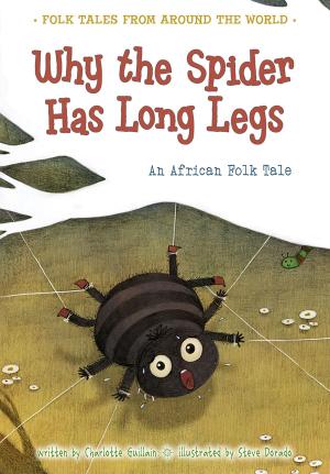 Book cover of Why the Spider Has Long Legs