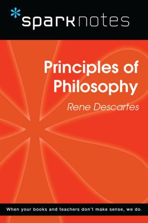 Book cover of Principles of Philosophy (SparkNotes Philosophy Guide)