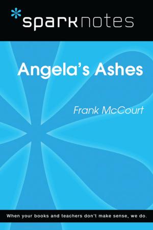 bigCover of the book Angela's Ashes (SparkNotes Literature Guide) by 