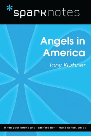bigCover of the book Angels in America (SparkNotes Literature Guide) by 