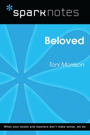 Cover of the book Beloved (SparkNotes Literature Guide) by Lynn Byk
