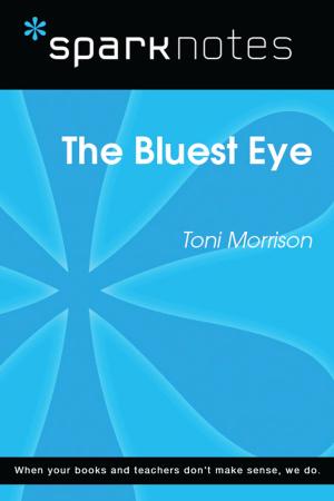bigCover of the book The Bluest Eye (SparkNotes Literature Guide) by 