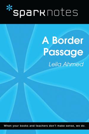 Cover of the book A Border Passage (SparkNotes Literature Guide) by SparkNotes