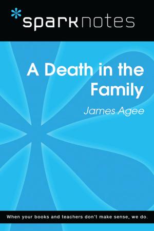 Cover of the book A Death in the Family (SparkNotes Literature Guide) by Ingo Blum