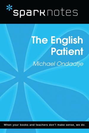 Book cover of The English Patient (SparkNotes Literature Guide)