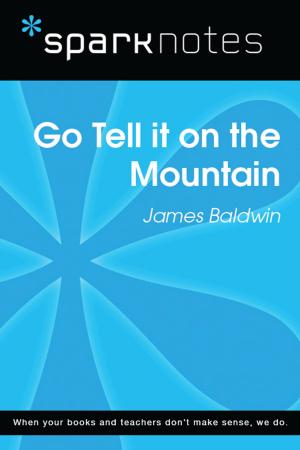 Book cover of Go Tell It on the Mountain (SparkNotes Literature Guide)