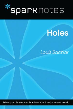 Cover of the book Holes (SparkNotes Literature Guide) by SparkNotes