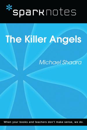 Book cover of The Killer Angels (SparkNotes Literature Guide)