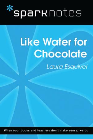 bigCover of the book Like Water for Chocolate (SparkNotes Literature Guide) by 