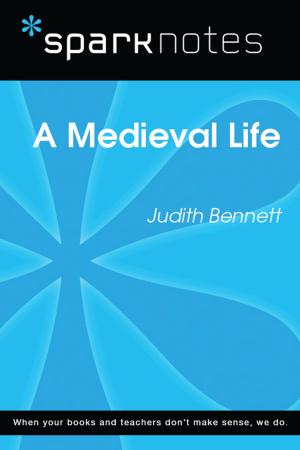 Cover of the book A Medieval Life (SparkNotes Literature Guide) by Dayna Stevenson