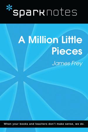 Cover of the book A Million Little Pieces (SparkNotes Literature Guide) by Noah Lukeman