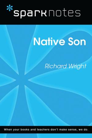 Book cover of Native Son (SparkNotes Literature Guide)