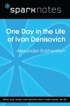 bigCover of the book One Day in the Life (SparkNotes Literature Guide) by 