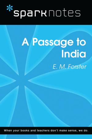 bigCover of the book A Passage to India (SparkNotes Literature Guide) by 