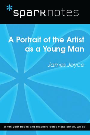 Cover of the book A Portrait of the Artist as a Young Man (SparkNotes Literature Guide) by Kathleen Gilles Seidel
