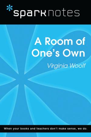 bigCover of the book A Room of One's Own (SparkNotes Literature Guide) by 